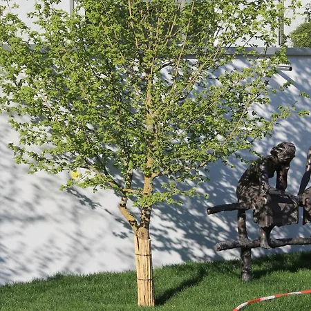 公寓 费沃阿尔滕市政厅公寓 *