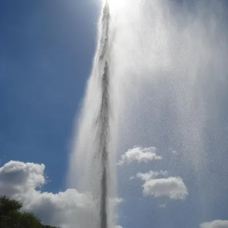 费沃阿尔滕市政厅公寓 *